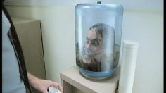 poster-11284-nintendo-nintendo-ds-je-veux-un-chien-236x132