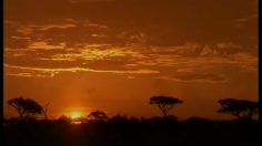 poster-11301-13eme-rue-doc-animalier-236x132