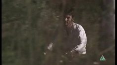 poster-11306-san-miguel-sun-sea-and-236x132