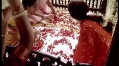 poster-11320-femina-generation-bride-236x132