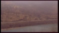 poster-11338-charal-steak-hache-trop-tard-236x132