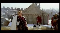 poster-11342-valtero-hache-cesar-236x132