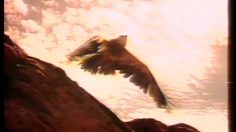 poster-11399-ovomaltine-boisson-chocolatee-l-aigle-et-le-sac-a-dos-236x132