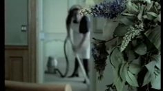 poster-11410-roge-cavailles-l-origine-du-monde-236x132