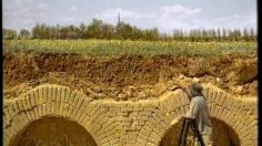 poster-11452-dommelsch-skulls-236x132