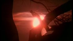 poster-11465-pepsi-kenya-236x132