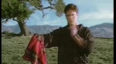 poster-11470-selsun-blue-taureau-236x132