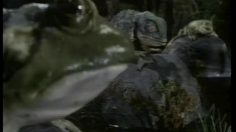 poster-11474-budweiser-licenciement-236x132