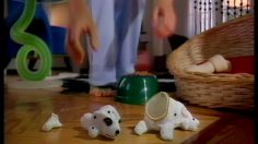 poster-1151-toyota-echo-le-chien-236x132