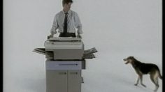 poster-11518-protection-femmes-harcelement-sexuel-le-chien-236x132