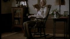 poster-11521-vogel-alchemilla-complex-rocking-chair-236x132