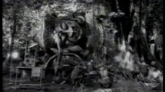 poster-11522-superga-chaussures-infatuation-236x132