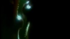 poster-11554-sealy-torride-236x132