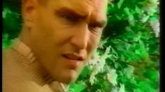 poster-11568-red-devil-boisson-energisante-bird-236x132