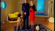 poster-11575-telenor-gule-sider-pages-jaunes-les-chiens-236x132