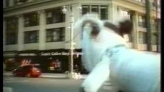 poster-11579-pets-com-new-york-236x132