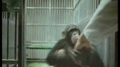 poster-11589-anti-tabac-question-it-frances-236x132