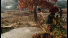 poster-11599-cnp-assurance-l-arbre-236x132