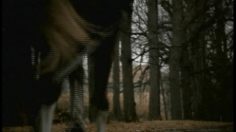 poster-116-director-s-special-black-deluxe-whisky-magic-236x132