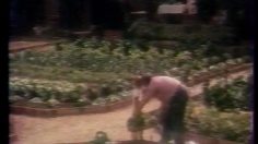 poster-11602-gervais-carre-frais-jardin-236x132