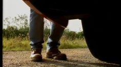 poster-11606-centraal-beheer-truck-236x132