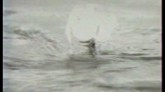 poster-11621-cacharel-eau-d-eden-eau-d-eden-236x132