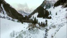 poster-11667-mercedes-benz-conducteur-du-dimanche-236x132