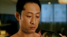 poster-11720-volkswagen-variant-fish-236x132