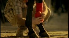 poster-1174-blu-win-bluwin-ch-race-236x132