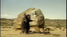 poster-11754-nissin-cup-noodle-cougar-endormi-236x132