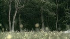 poster-11776-mazda-6-tempted-236x132