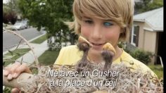 poster-11790-gushers-gusher-for-an-eye-236x132