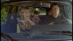 poster-11813-centraal-beheer-achmea-lion-236x132