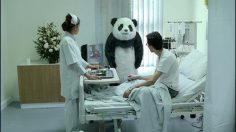 poster-11815-arab-dairy-panda-cheese-hospital-236x132