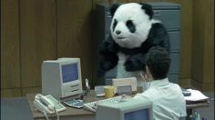 poster-11821-arab-dairy-panda-cheese-office-236x132