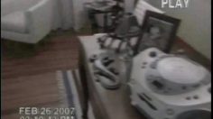 poster-11837-marias-coupes-cookies-bebe-236x132