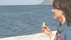 poster-11850-collective-du-lait-seagull-236x132