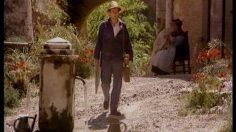 poster-1190-stella-artois-monet-236x132