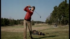 poster-11908-if-insurance-golfer-236x132