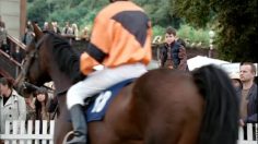 poster-11929-weetabix-steeplechase-236x132