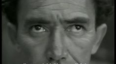 poster-11973-guinness-surfers-236x132