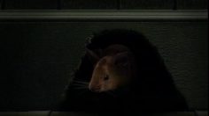 poster-11975-guinness-biere-the-big-cheese-236x132