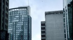 poster-11998-protection-environnement-polar-bear-236x132