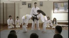 poster-12036-lifebuoy-shampoing-dojo-236x132