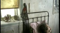 poster-12055-kost-pluss-vitamins-the-hippie-236x132