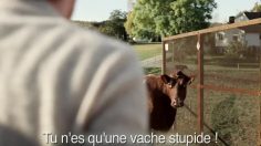 poster-12076-netcom-cow-236x132