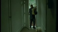 poster-12094-ameriquest-mortgage-company-tueur-de-chat-236x132