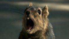 poster-12096-bridgestone-the-scream-236x132