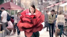 poster-12111-paso-de-los-toros-tonic-water-one-of-each-other-236x132