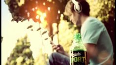 poster-12124-carlsberg-sport-bees-236x132